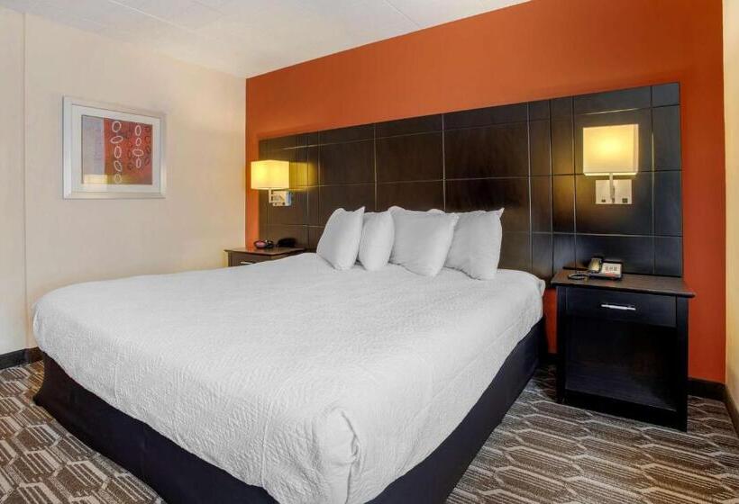 带大床的标准间, Best Western Plus Poconos