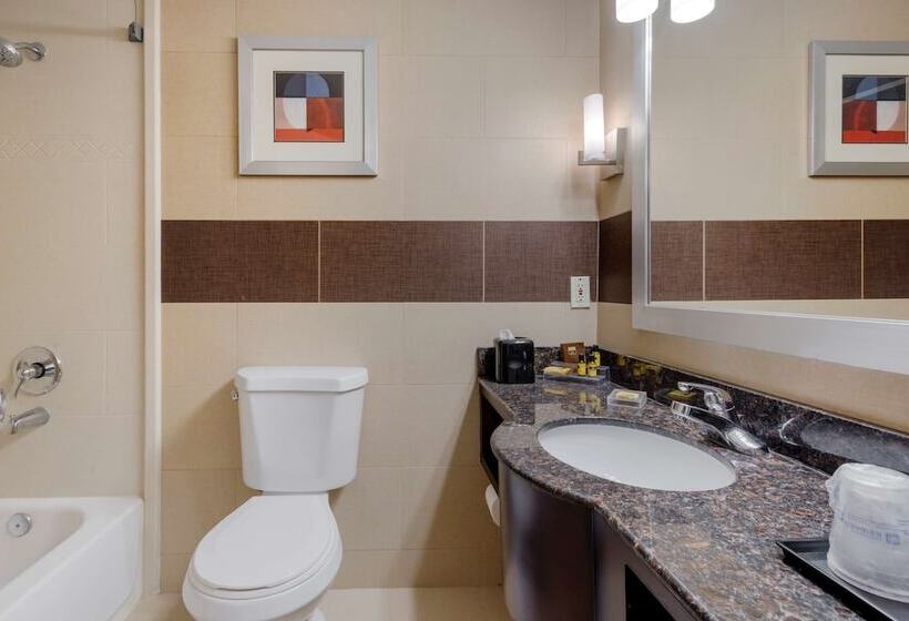 带2个双人床的标准工作室, Best Western Plus Poconos