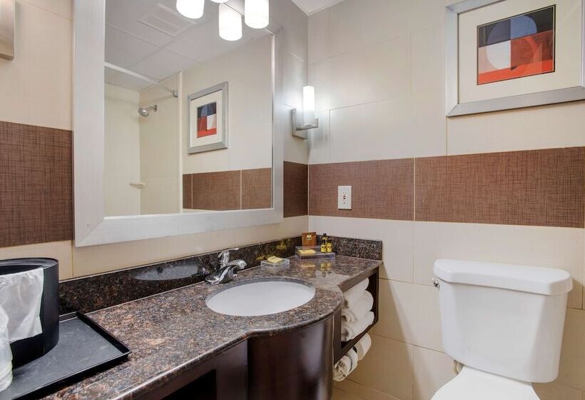 Номер Стандарт 2 Двуспальные Кровати, Best Western Plus Poconos
