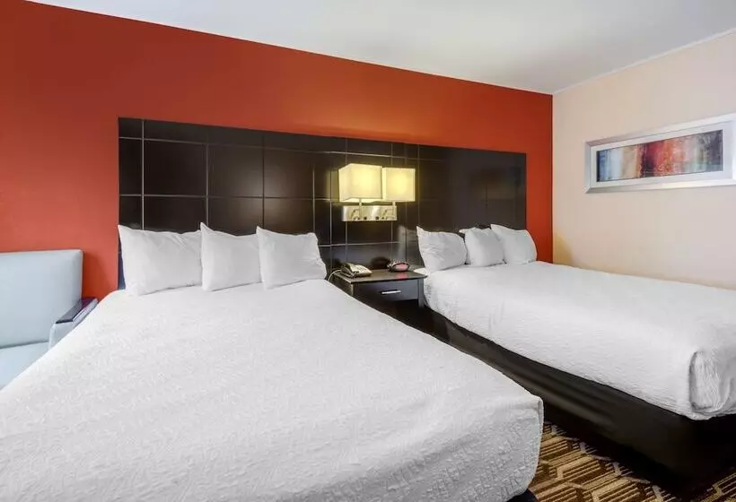 ２ダブルベッドのスタンダードルーム, Best Western Plus Poconos