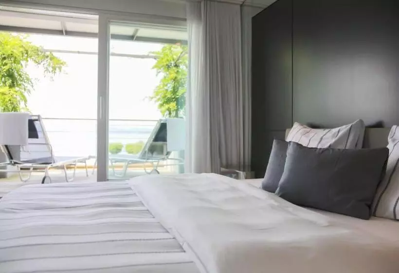 Standard Room Lake View, Marina Lachen