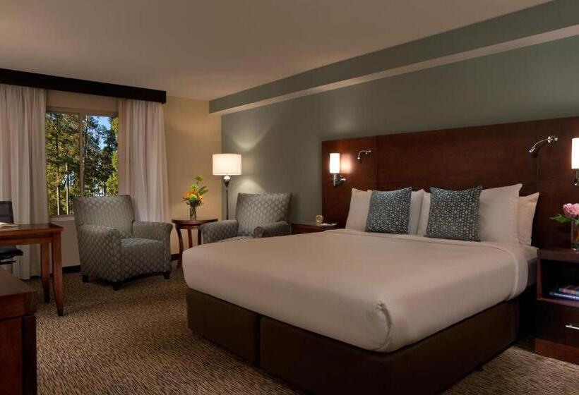 סוויטת 2 חדרי שינה, Millennium Durham