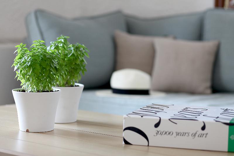 חדר דלוקס נוף לגינה, Millennium Durham