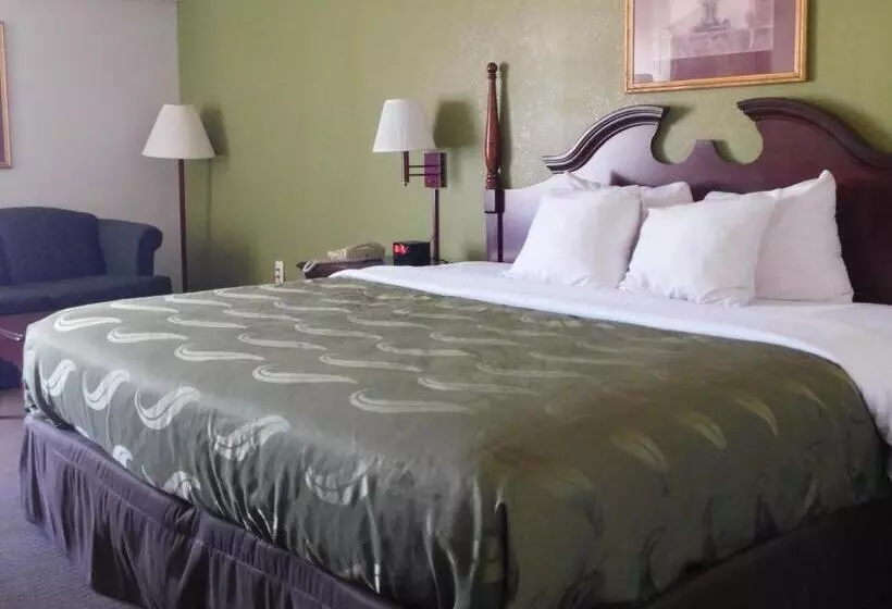 キングサイズベッドのスタンダードルーム, Quality Inn & Suites Thomasville