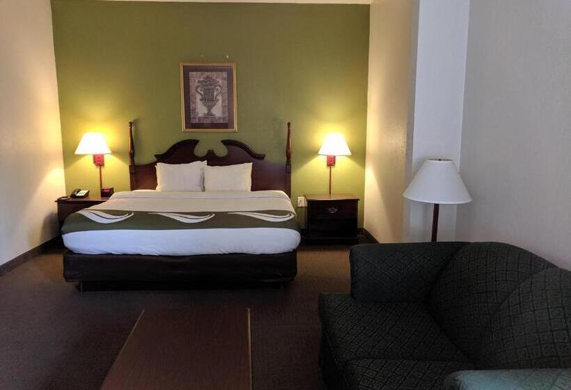 스탠다드 룸 킹사이즈 침대, Quality Inn & Suites Thomasville