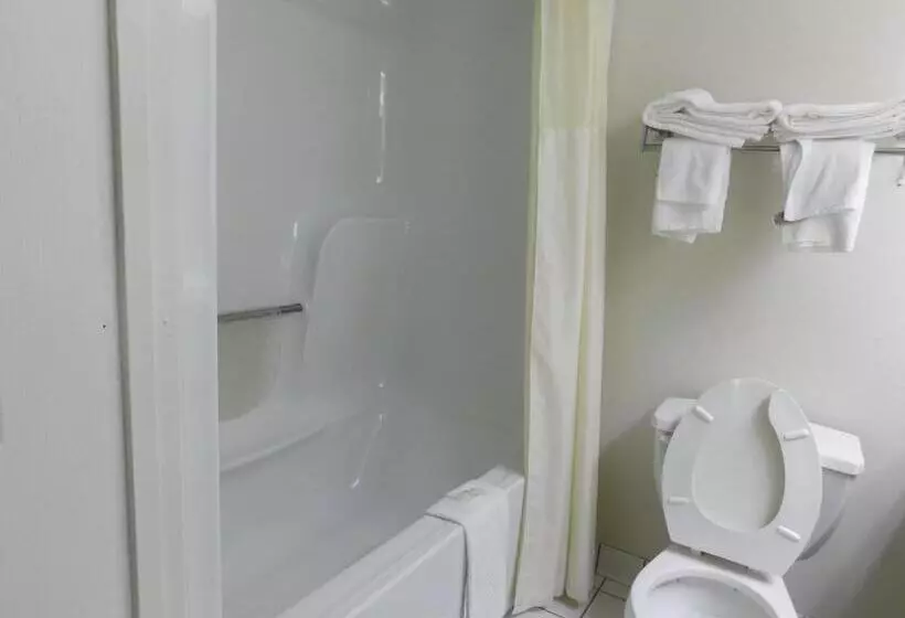 身障者適用キングサイズベッドルーム, Quality Inn & Suites Thomasville