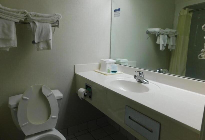 غرفة قياسية لذوى الاحتياجات الخاصة, Quality Inn & Suites Thomasville