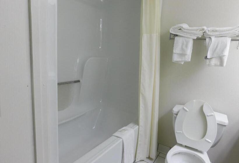 غرفة قياسية لذوى الاحتياجات الخاصة, Quality Inn & Suites Thomasville