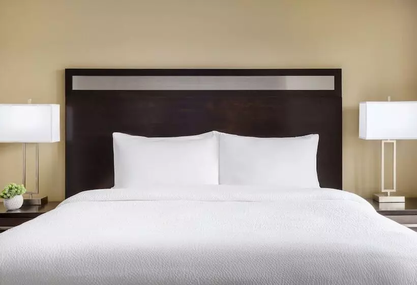 身障者適用スイートルーム, Residence Inn Boston Franklin