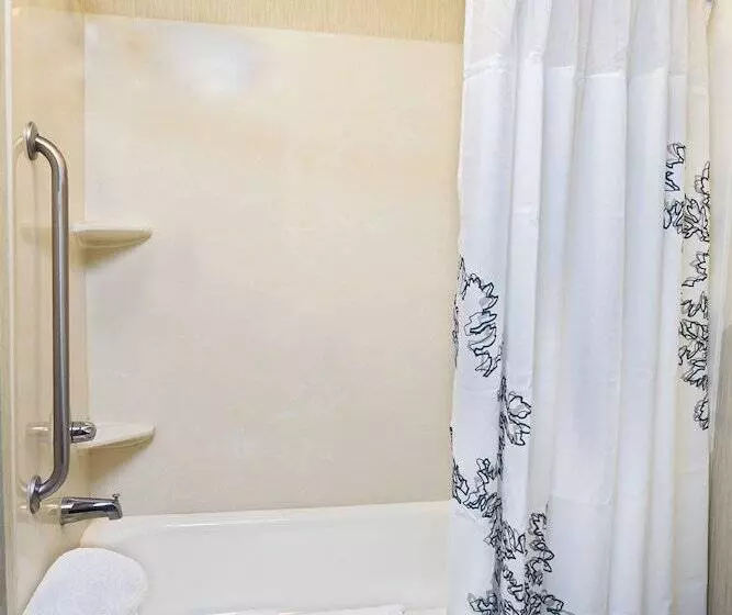 سوییت, Residence Inn By Marriott Lakeland