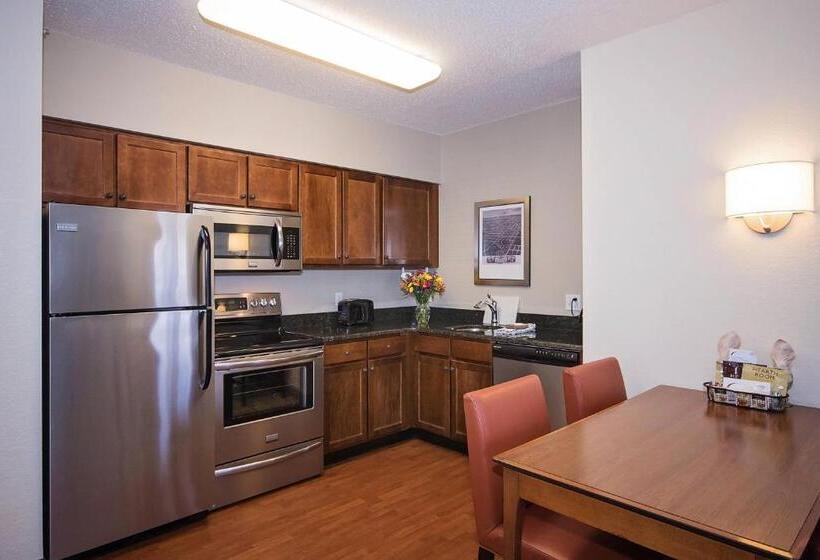 带城市景观的套间, Residence Inn Rochester Mayo Clinic Area