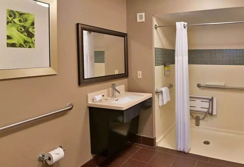 身障者適用スイートルーム, Sonesta Es Suites San Antonio Northwest Medical Center