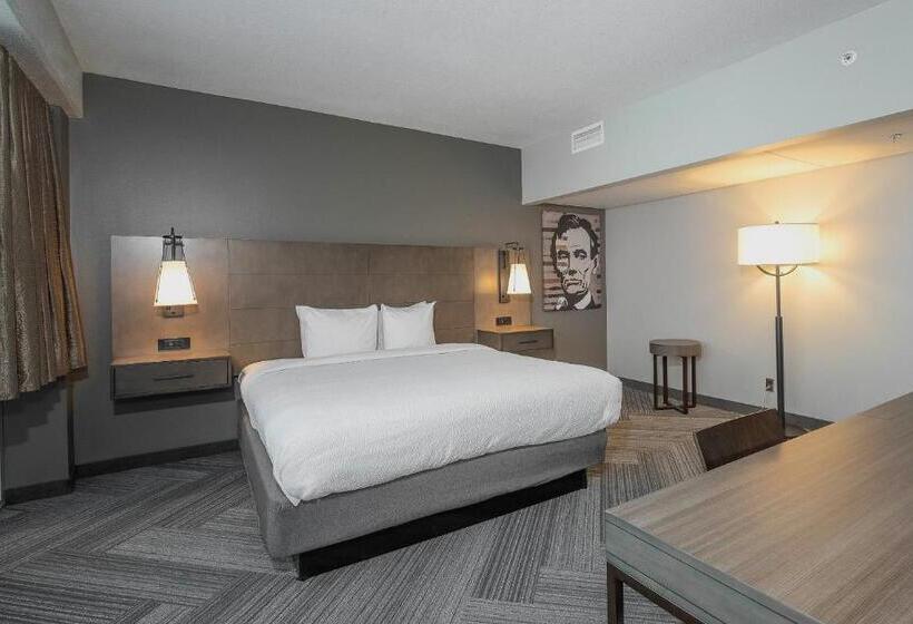 חדר סטנדרט עם מיטת קינג, State House Inn