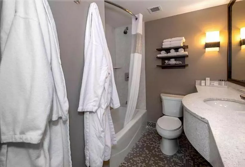 سوئیت با تخت بزرگ, State House Inn