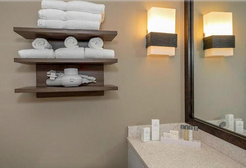 חדר דלוקס מותאם לאנשים עם מוגבלויות, State House Inn