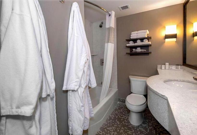 סוויטה, State House Inn