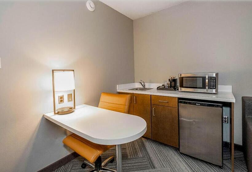 סוויטה, State House Inn