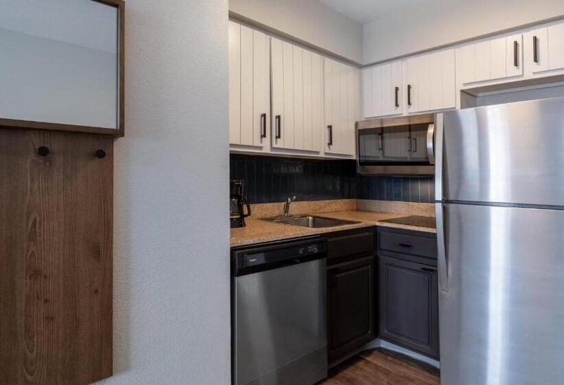 标准工作室, Staybridge Suites Columbus Dublin, An Ihg