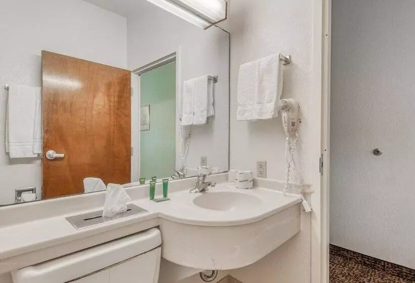 身障者適用スタンダードルーム, Trident Inn & Suites, Baton Rouge