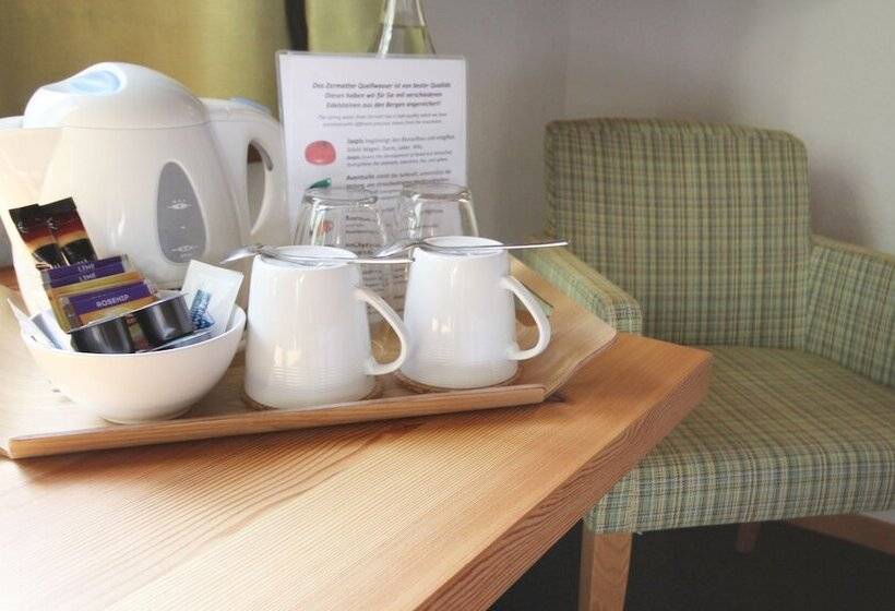 Standart Tek Kişilik Oda, Welschen Zermatt