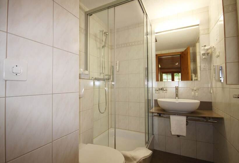 Standart Tek Kişilik Oda, Welschen Zermatt