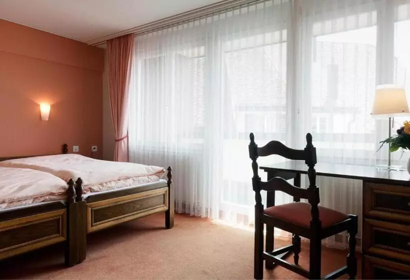 スタンダードルーム, Kunsthotel Linde Garni