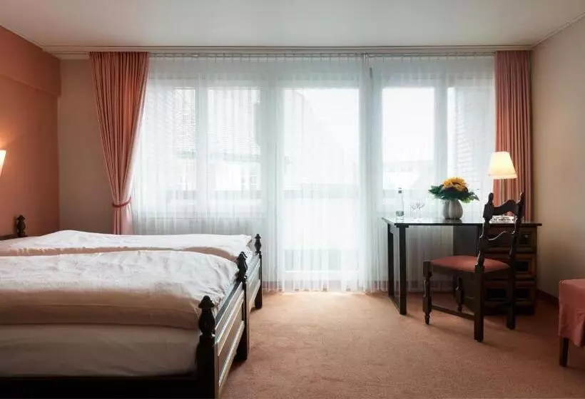 スタンダードルーム, Kunsthotel Linde Garni