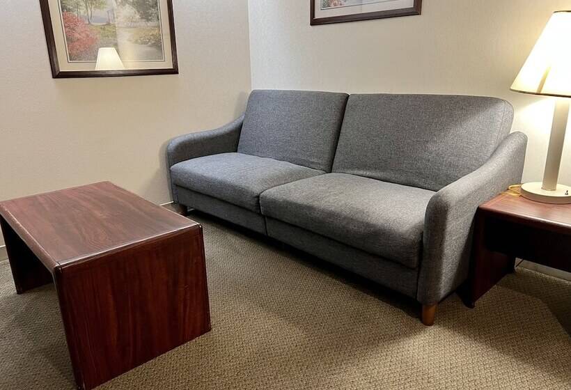 Люкс, Microtel Inn & Suites By Wyndham Bloomington Msp Airport