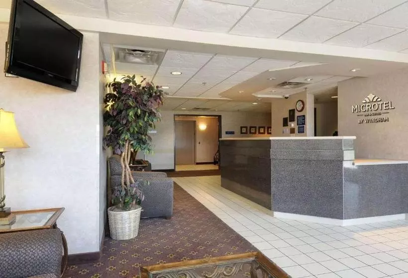 اتاق استاندارد با تخت بزرگ برای معلولان, Microtel Inn & Suites By Wyndham Bloomington Msp Airport