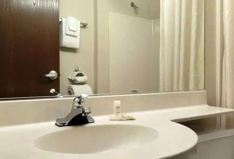 اتاق استاندارد با تخت بزرگ برای معلولان, Microtel Inn & Suites By Wyndham Bloomington Msp Airport