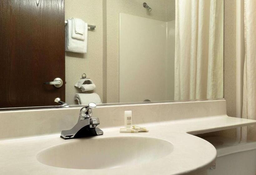 Номер Deluxe Адаптированный для Инвалидов, Microtel Inn & Suites By Wyndham Bloomington Msp Airport