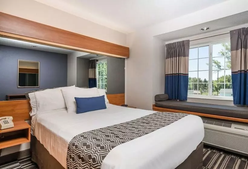 身障者適用スタンダードルーム, Microtel Inn & Suites By Wyndham Springfield