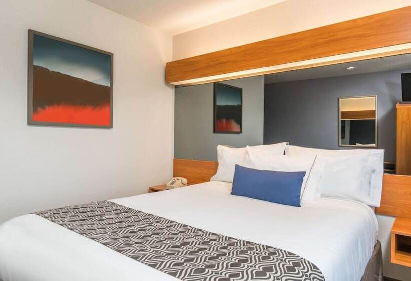 غرفة قياسية لذوى الاحتياجات الخاصة, Microtel Inn & Suites By Wyndham Springfield