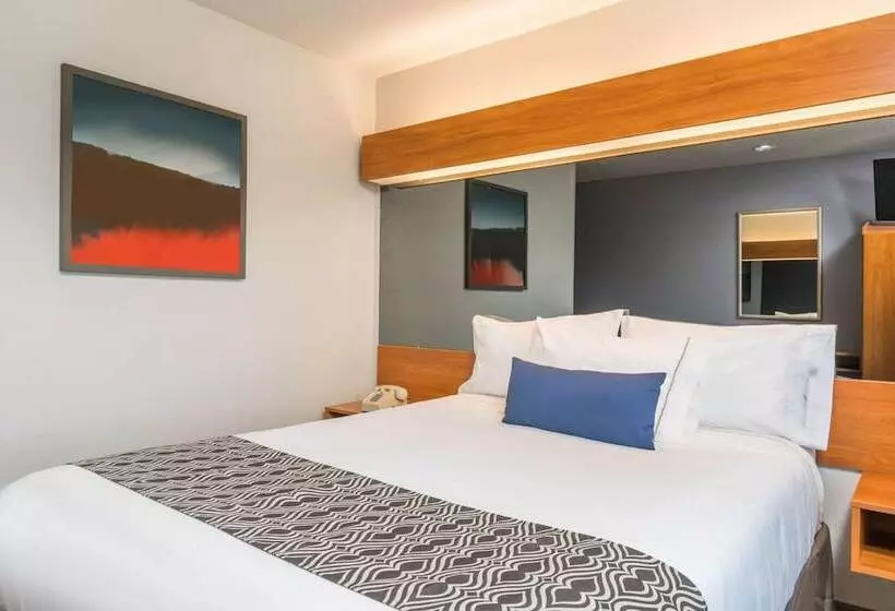 身障者適用スタンダードルーム, Microtel Inn & Suites By Wyndham Springfield