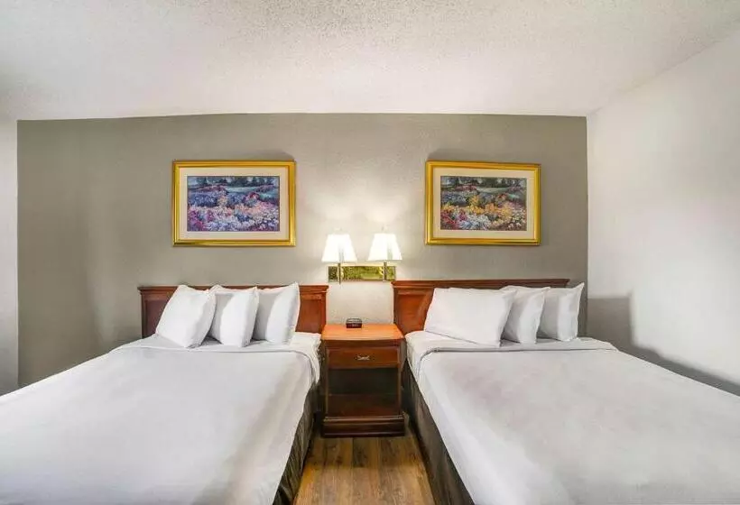 デラックスの４人部屋, Motel 6 Lester   Philadelphia Airport