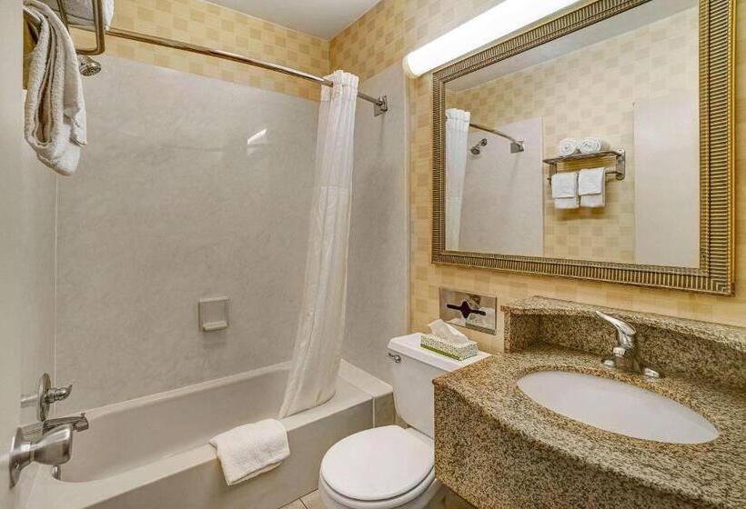 스탠다드 룸 킹사이즈 침대, Motel 6 Lester   Philadelphia Airport