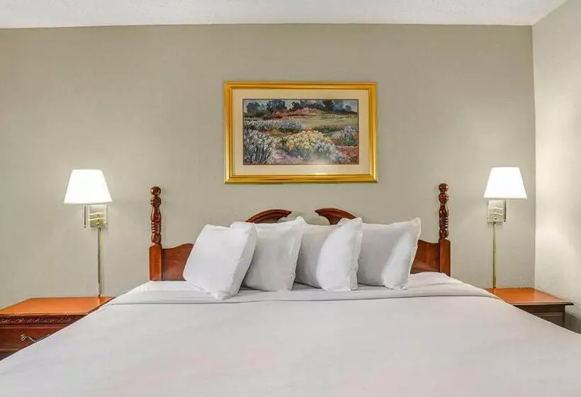 キングサイズベッドのデラックスルーム, Motel 6 Lester   Philadelphia Airport