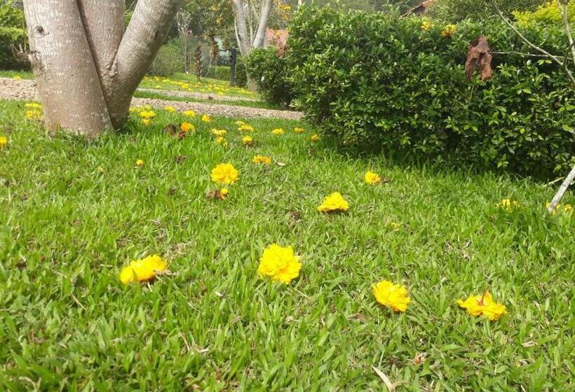 キングサイズベッドのスタンダードルーム, Mek Kiri Riverkwai Resort Sha