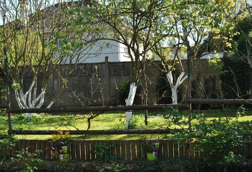 חדר סטנדרט נוף לגינה, Villa Le Cloky