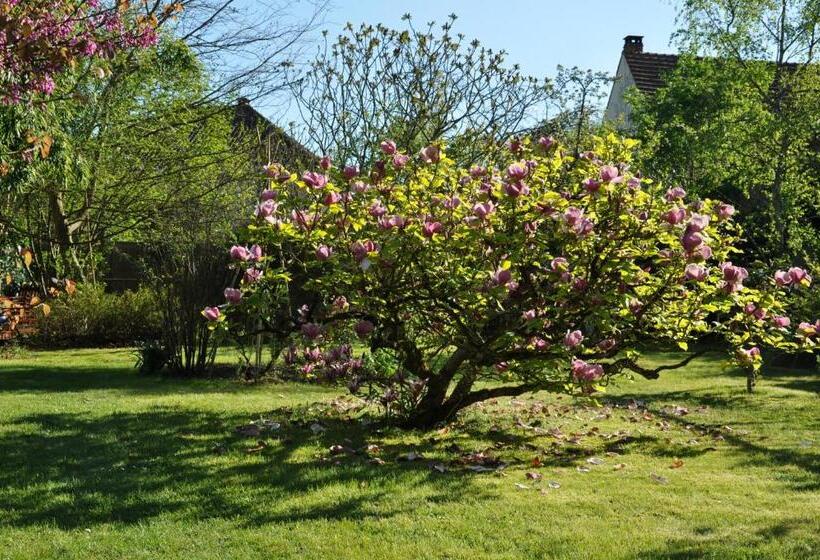 חדר סטנדרט נוף לגינה, Villa Le Cloky