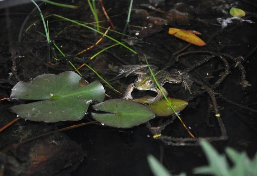 חדר סטנדרט, Villa Le Cloky