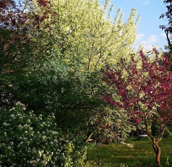 חדר סטנדרט, Villa Le Cloky