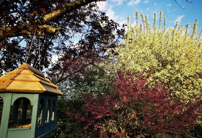 חדר סטנדרט, Villa Le Cloky