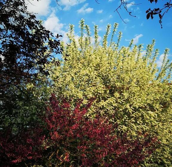 חדר סטנדרט, Villa Le Cloky