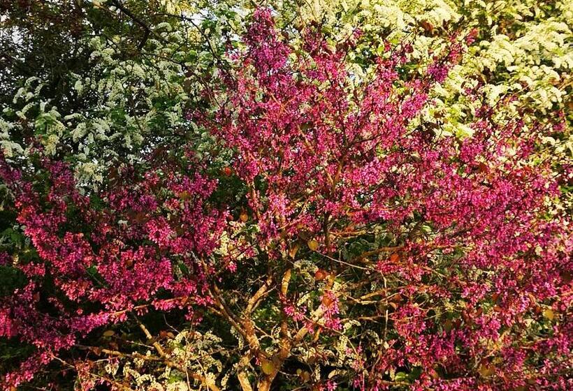 חדר סטנדרט, Villa Le Cloky