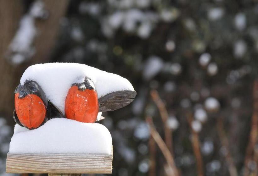 חדר סטנדרט נוף לגינה, Villa Le Cloky