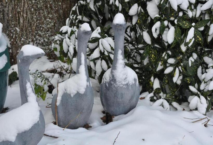 חדר סטנדרט נוף לגינה, Villa Le Cloky