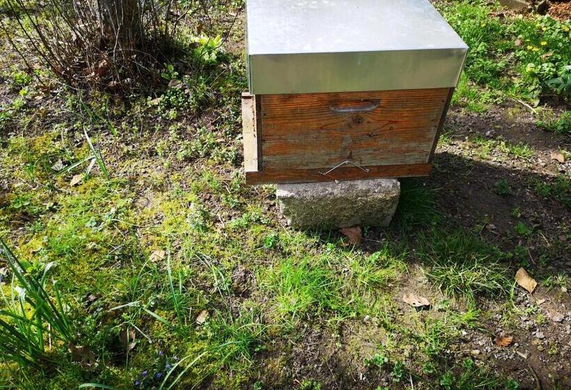 חדר סטנדרט, Villa Le Cloky