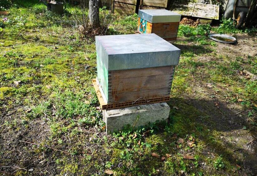 חדר סטנדרט, Villa Le Cloky