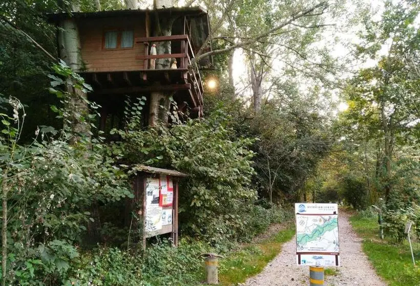 キングサイズベッドのスタンダードルーム, Binario 9 3/4